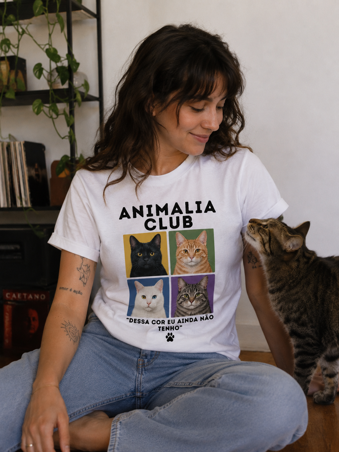 Gatos